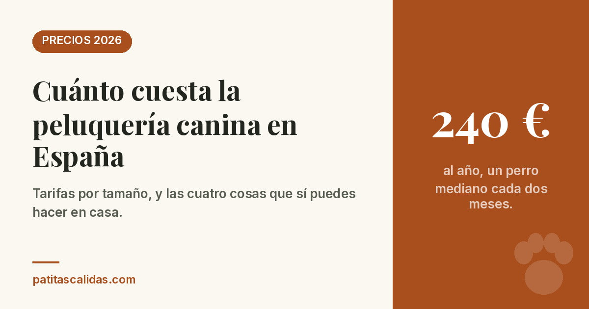 Cuánto cuesta la peluquería canina en España: unos 240 euros al año para un perro mediano