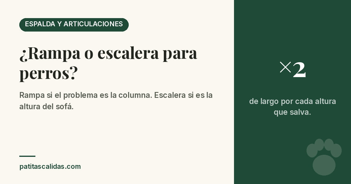 Rampa o escalera para perros: la rampa debe medir el doble de largo que la altura que salva
