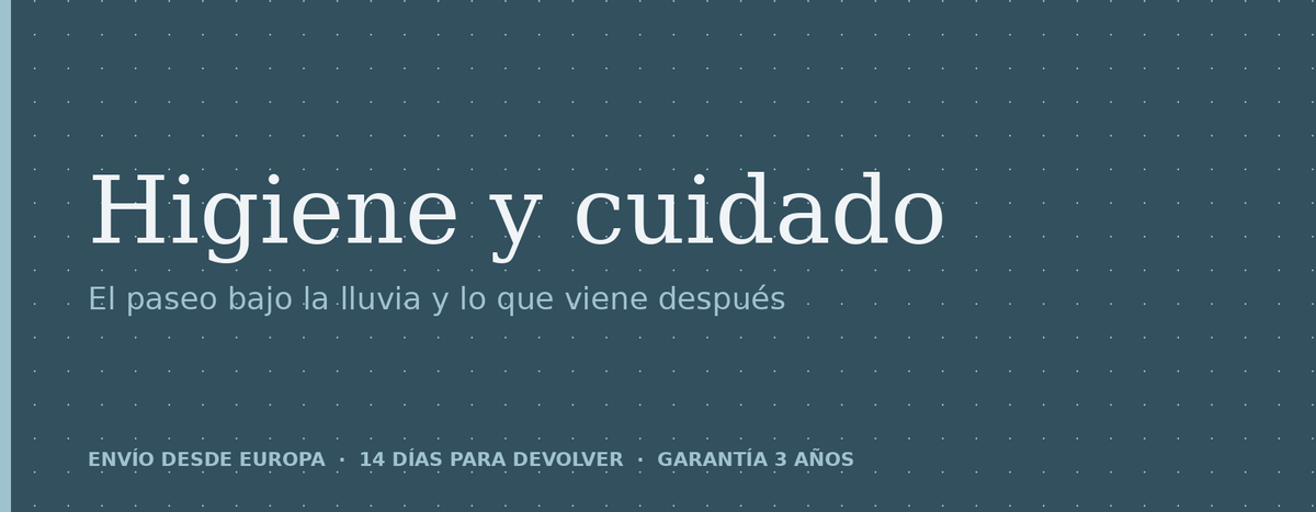 Cabecera de la coleccion Higiene y cuidado: el paseo bajo la lluvia y lo que viene despues