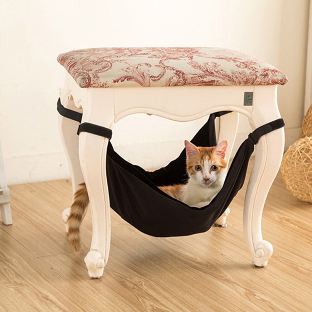 Gato en la hamaca negra atada a las patas de un taburete