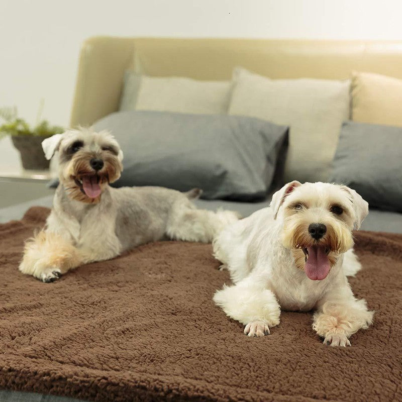 Manta de felpa para perro y gato — foto 7