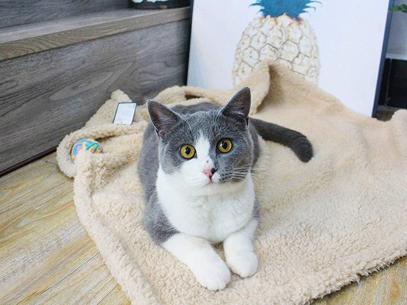 Manta de felpa para perro y gato — foto 6