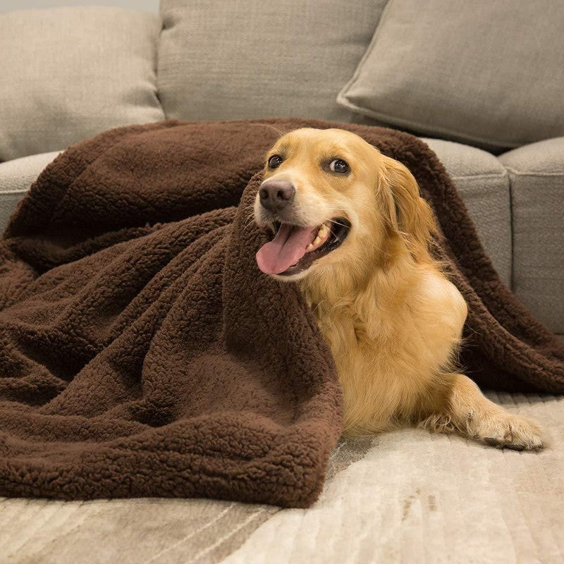 Manta de felpa para perro y gato — foto 1