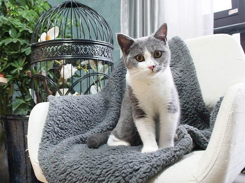 Manta de felpa para perro y gato — foto 9