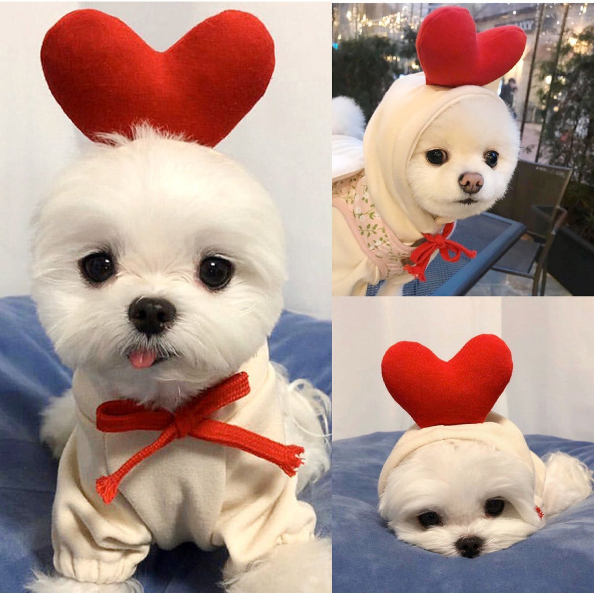 Sudadera corazón
