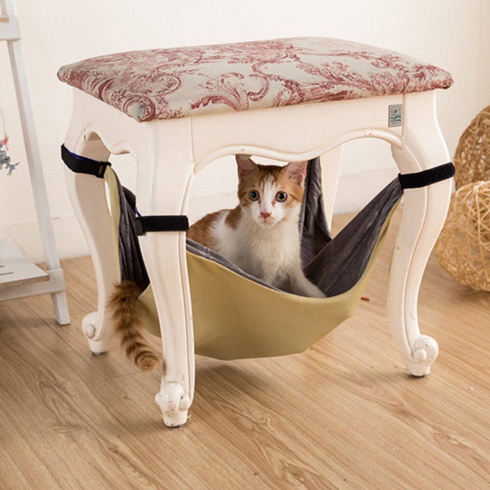 Gato sentado en la hamaca crema, bajo el asiento