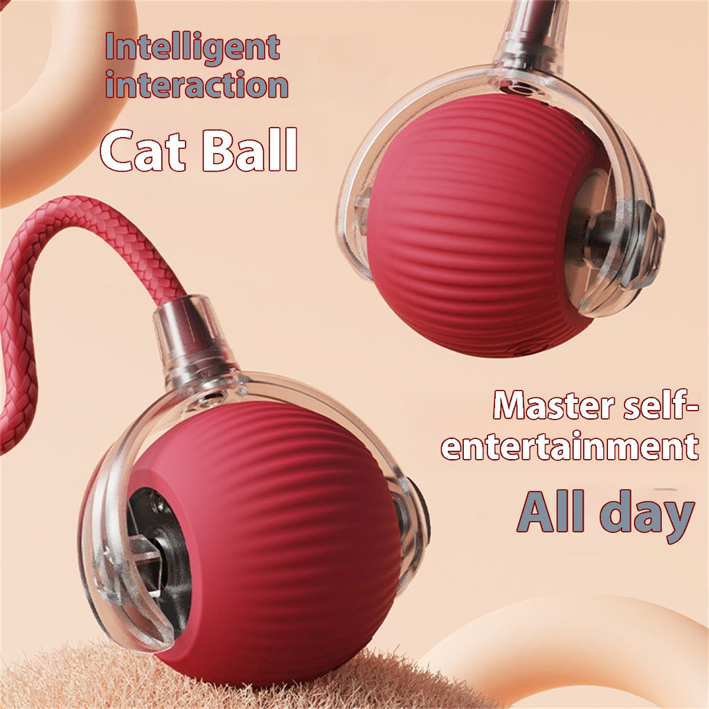 Pelota eléctrica para gato con canto de pájaro — foto 1