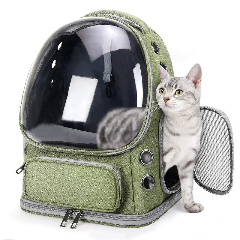 Gato saliendo por el lateral abierto de la mochila burbuja verde