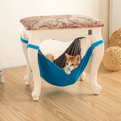 Gatito en la hamaca azul colgada bajo un taburete