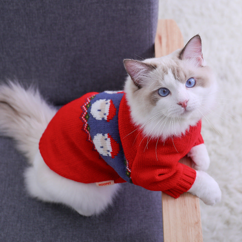 Gato blanco con el jersey rojo de Papá Noel, apoyado en un sillón