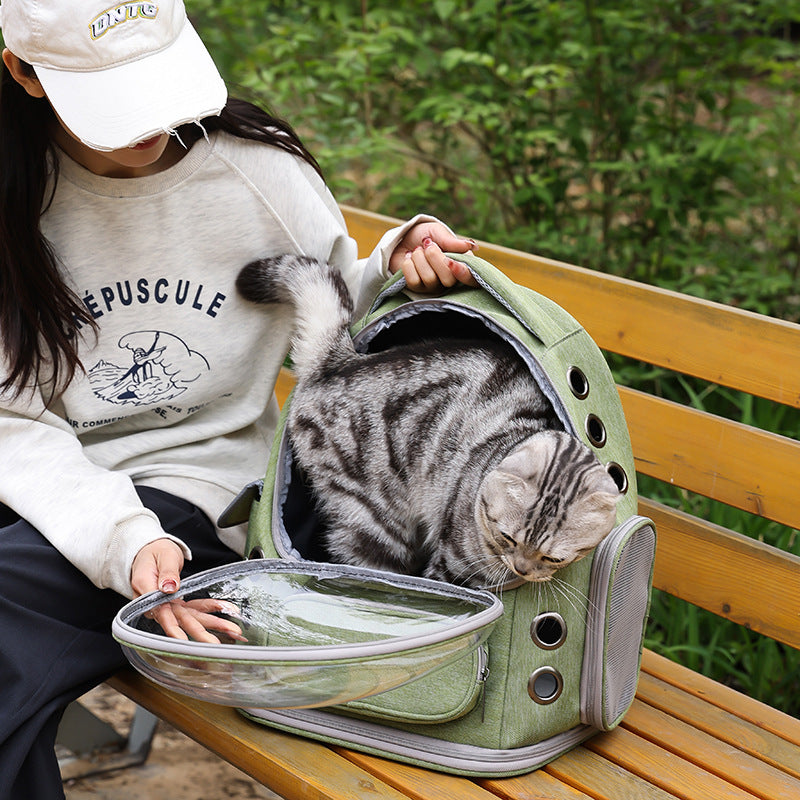 Gato atigrado asomándose a la mochila verde sobre un banco