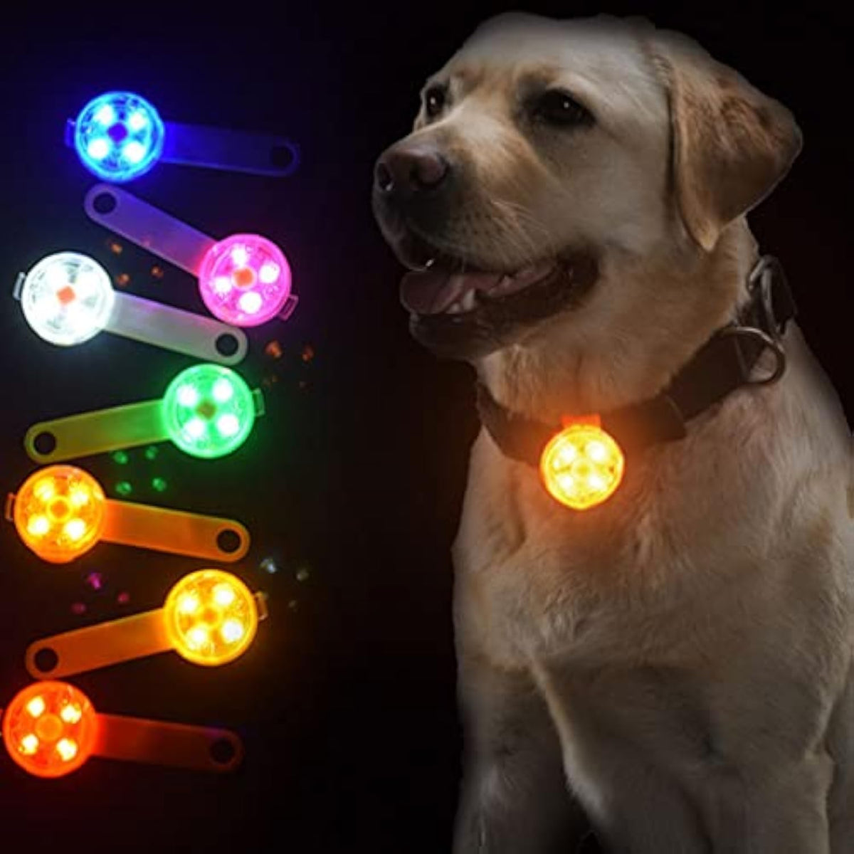 Perro de noche con la luz naranja encendida en el collar, junto a luces de varios colores