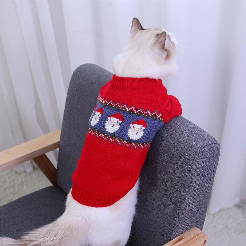 Espalda del jersey de Papá Noel puesto en un gato