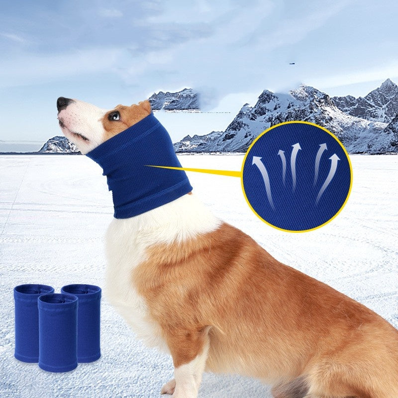 Cuello braga para perro — foto 1