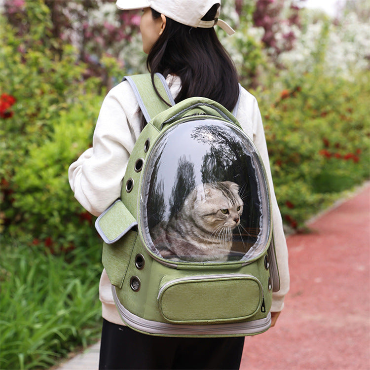 Chica de espaldas con la mochila burbuja verde y un gato mirando por la ventana