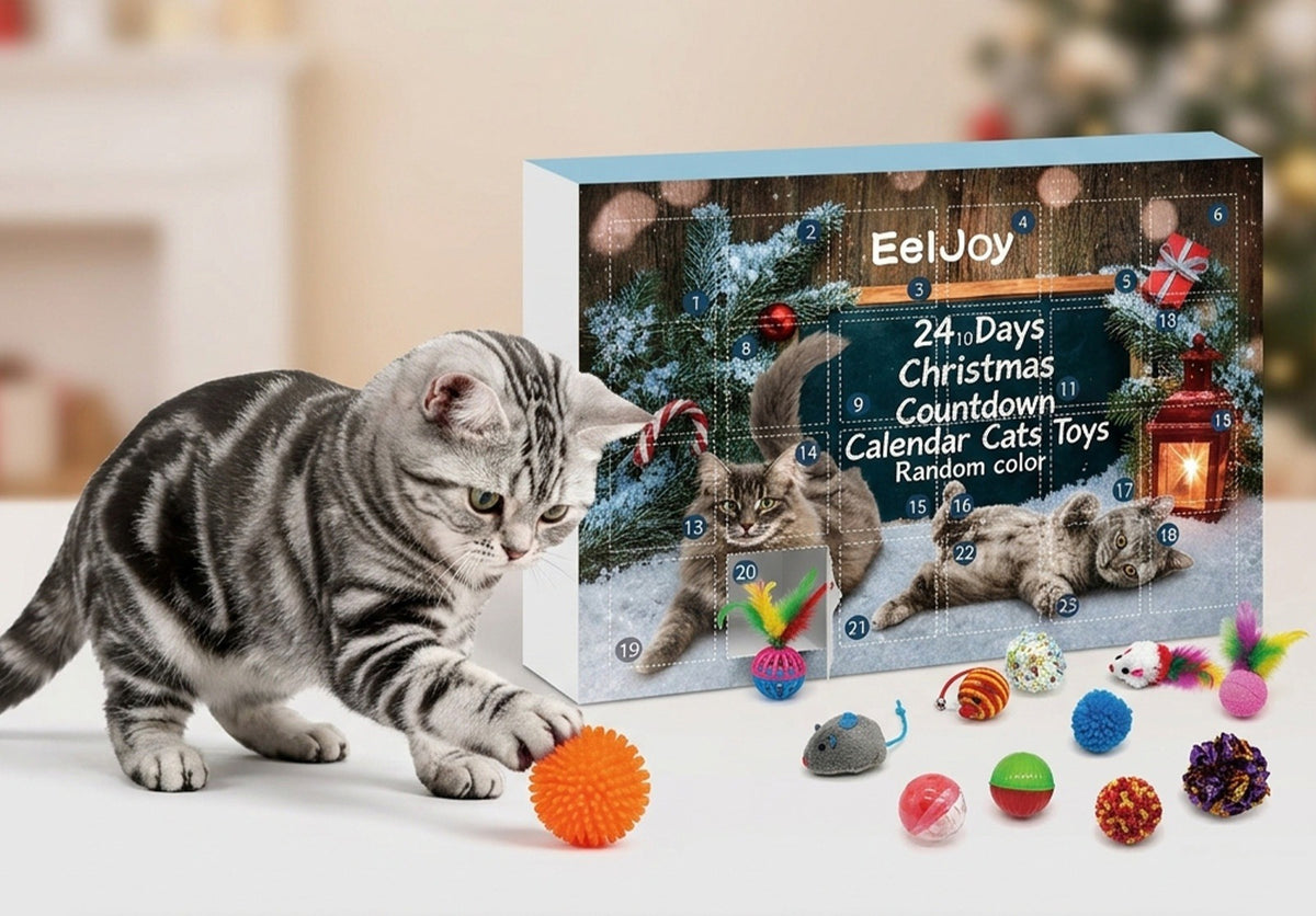 Gato jugando con una pelota sacada del calendario de adviento