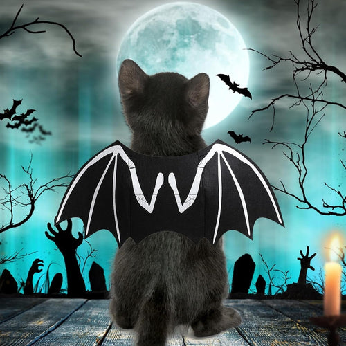 Gato negro con las alas de murciélago