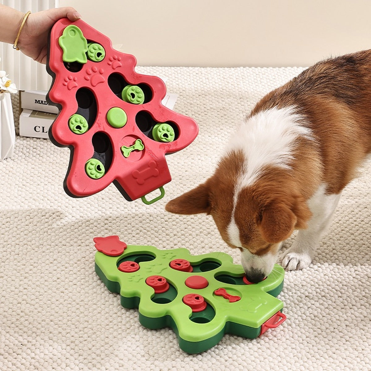 Perro buscando premios en el comedero puzzle