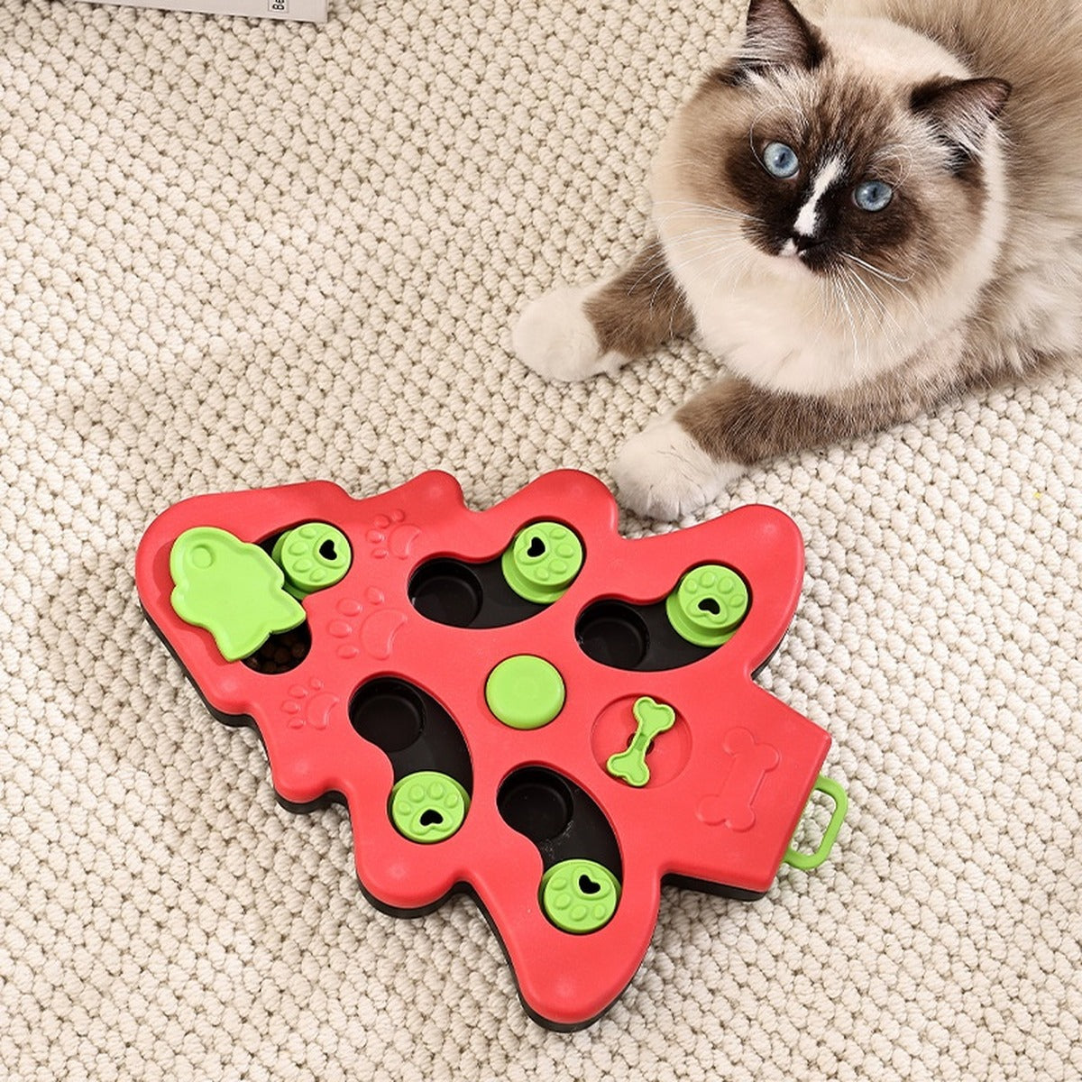 Gato con el comedero puzzle verde