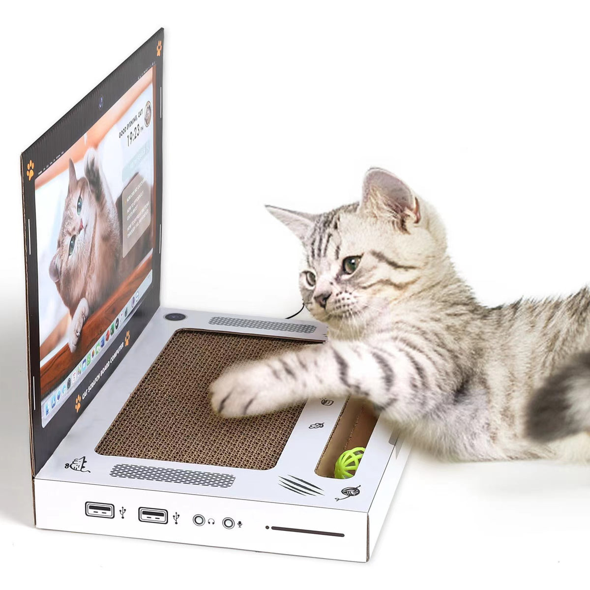 Gatito arañando la base de cartón del rascador portátil, con la pantalla dibujada levantada
