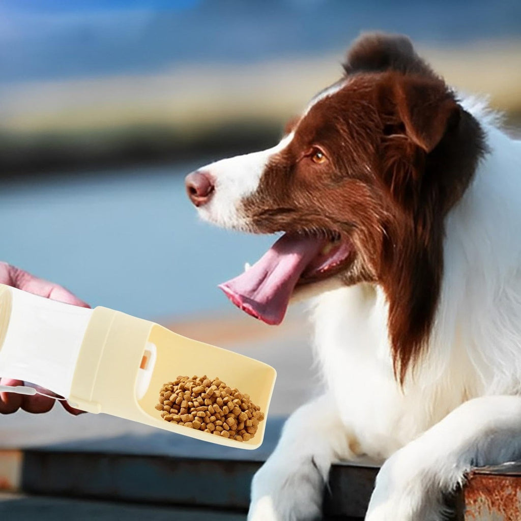 Perro comiendo pienso del cuenco abierto del bebedero