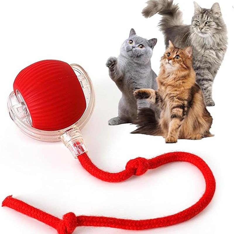 Pelota rodante automática roja con cola de cuerda