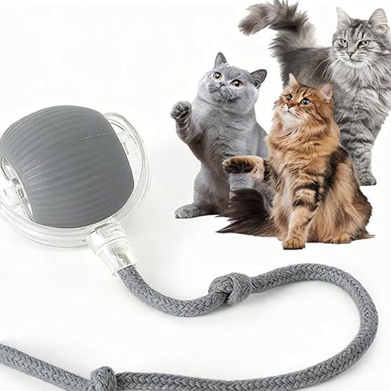 Pelota rodante automática gris