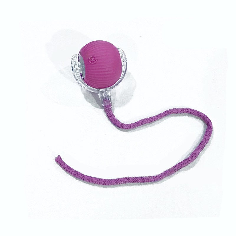 Pelota rodante automática morada