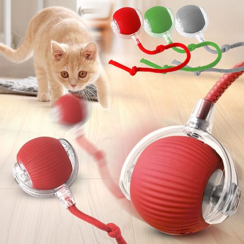 Gatito persiguiendo la pelota rodante por el suelo