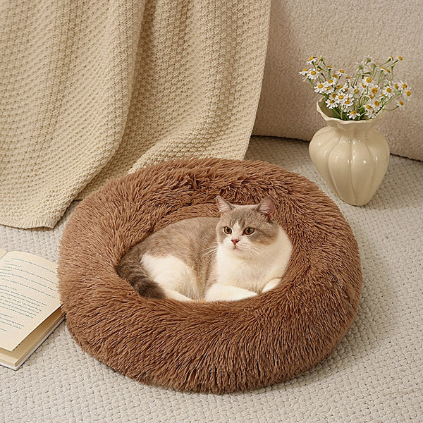 Gato tumbado en la cama en dónut marrón en un salón