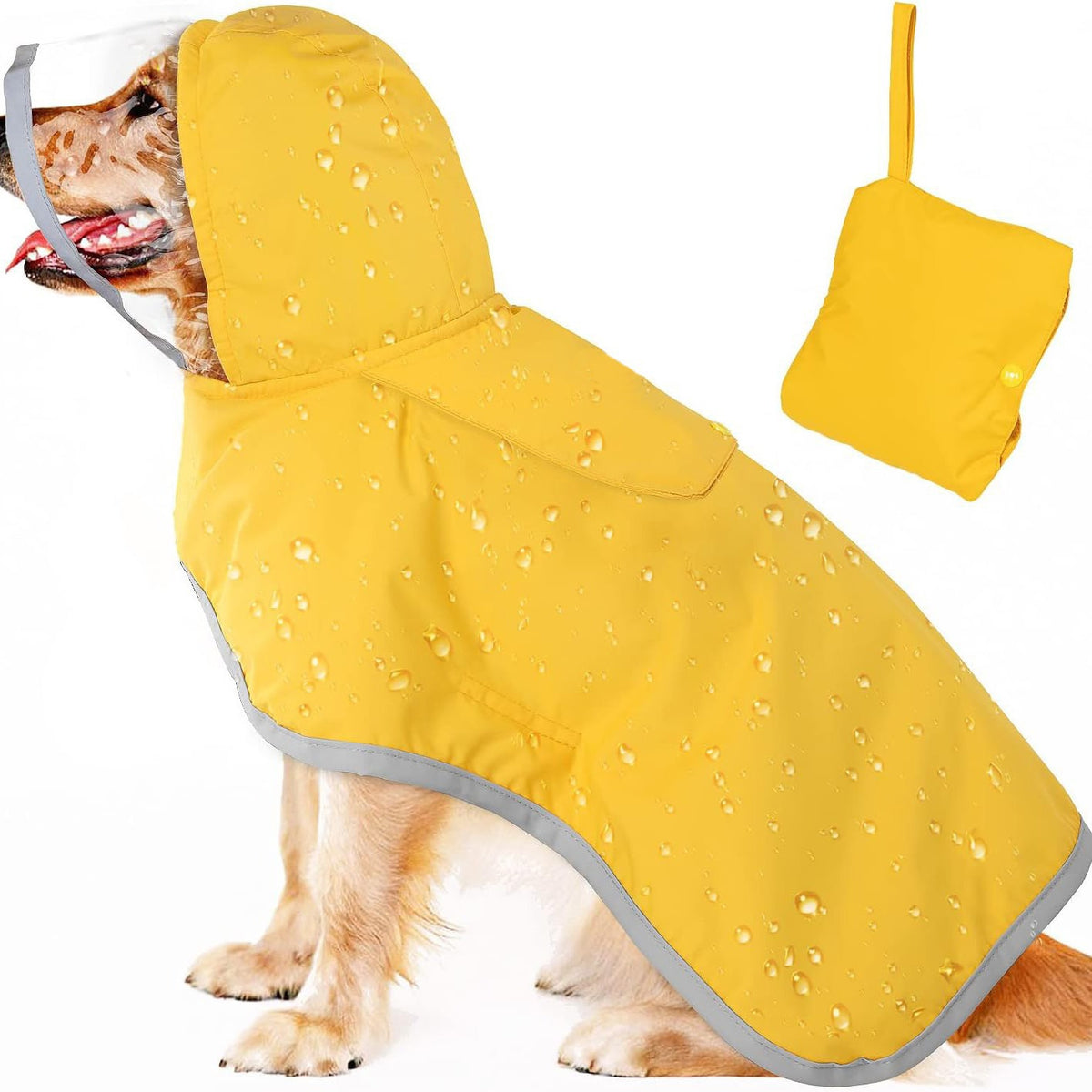 Golden retriever con la capa amarilla puesta, junto a la funda para guardarla