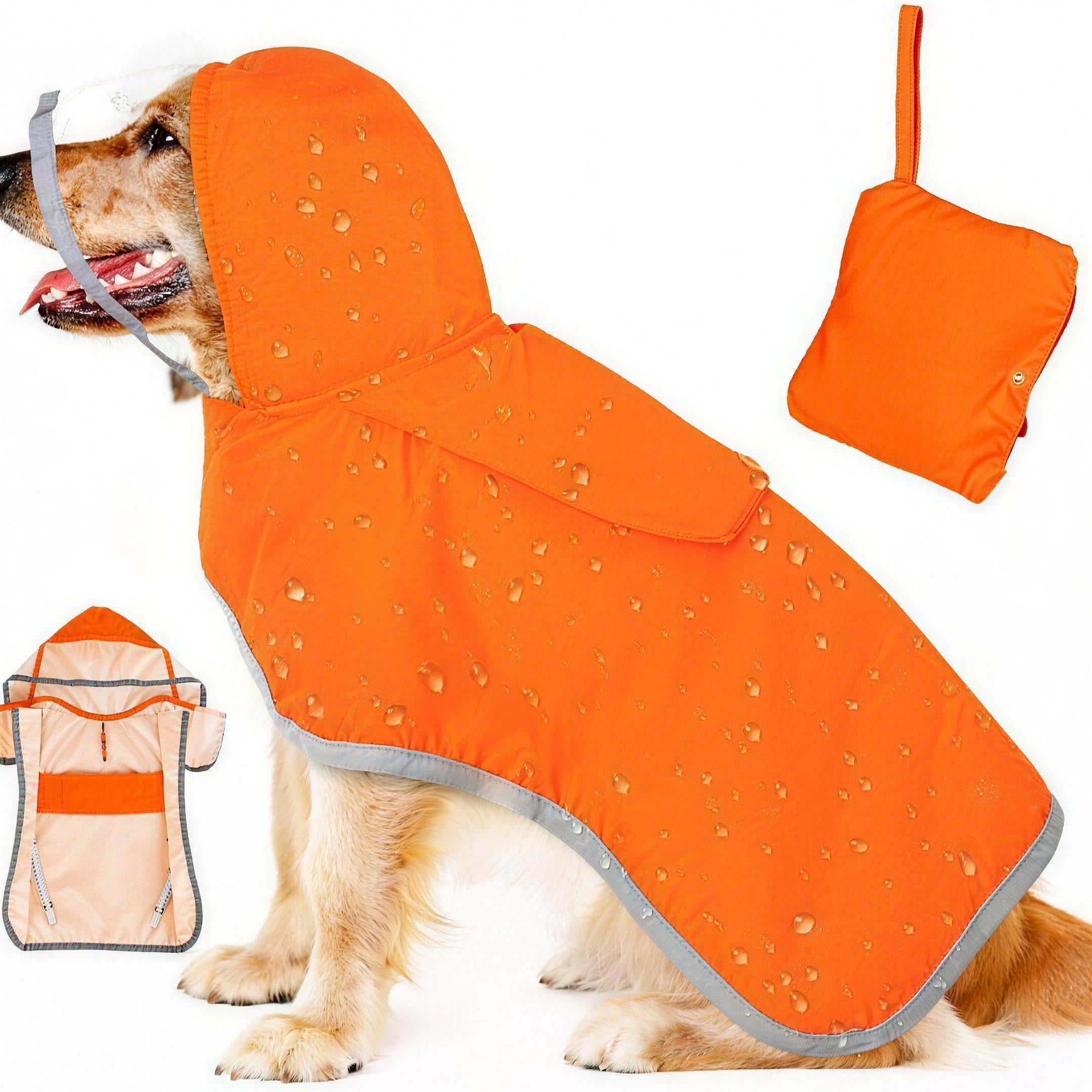 Golden retriever con la capa naranja puesta, junto a la funda para guardarla