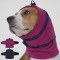 Perro con la capucha fucsia puesta y la prenda extendida al lado