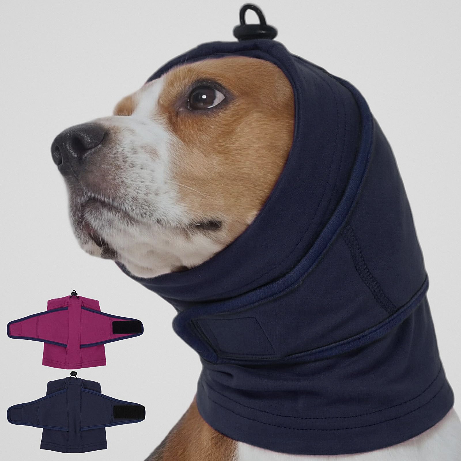Perro con la capucha azul marino puesta y la prenda extendida al lado