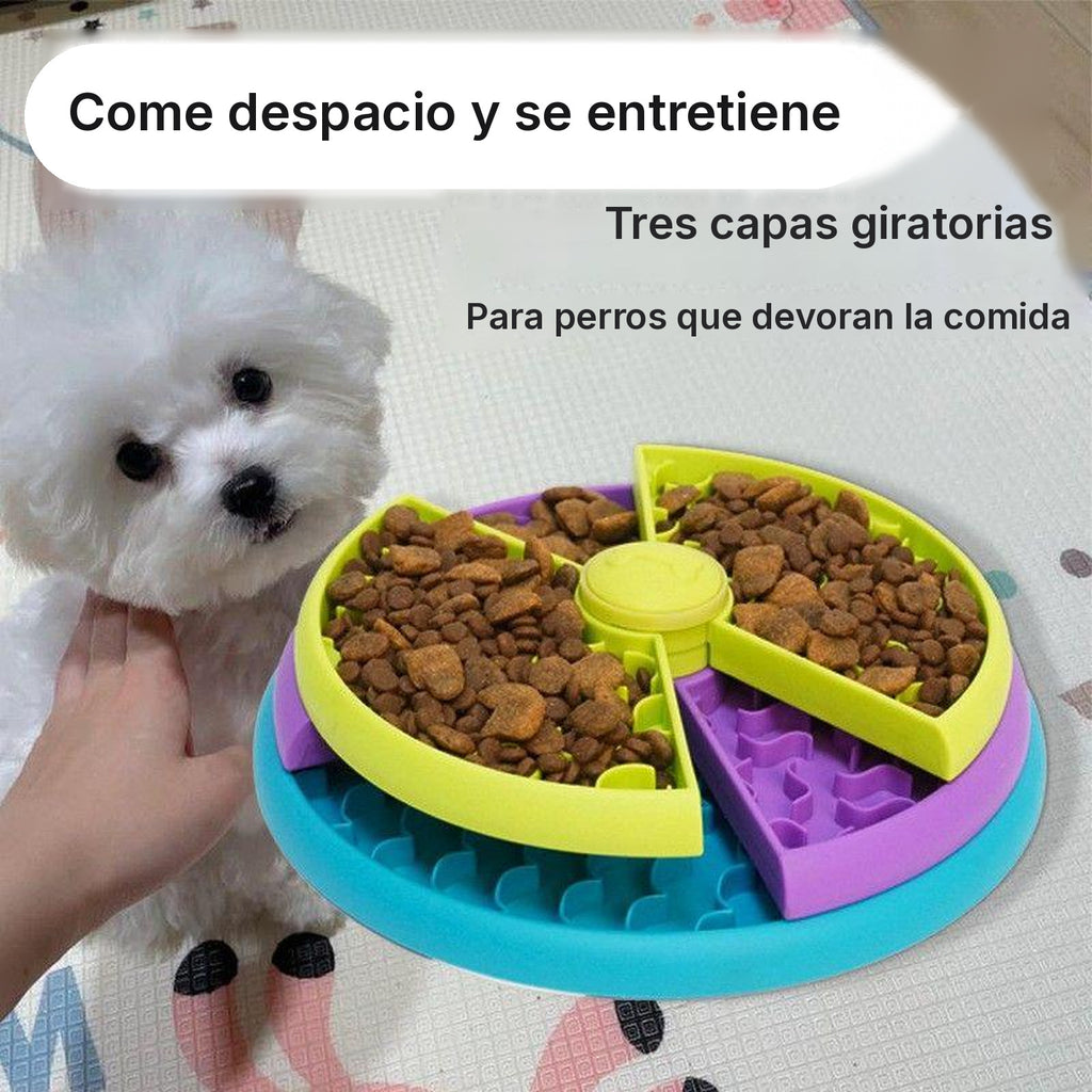 Perro pequeño junto al comedero lleno de pienso, con las tres capas a la vista