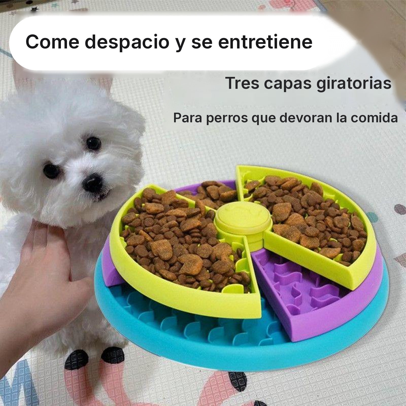 Perro pequeño junto al comedero lleno de pienso, con las tres capas a la vista