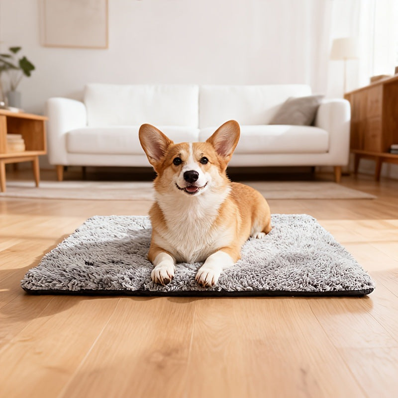 Perro tumbado sobre la manta térmica