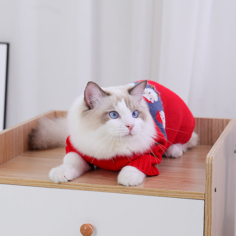 Gato con el jersey rojo de Papá Noel, mirando a cámara