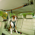 Cinturón de seguridad para perro en el coche