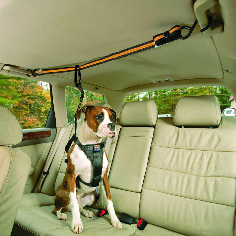 Cinturón de seguridad para perro en el coche