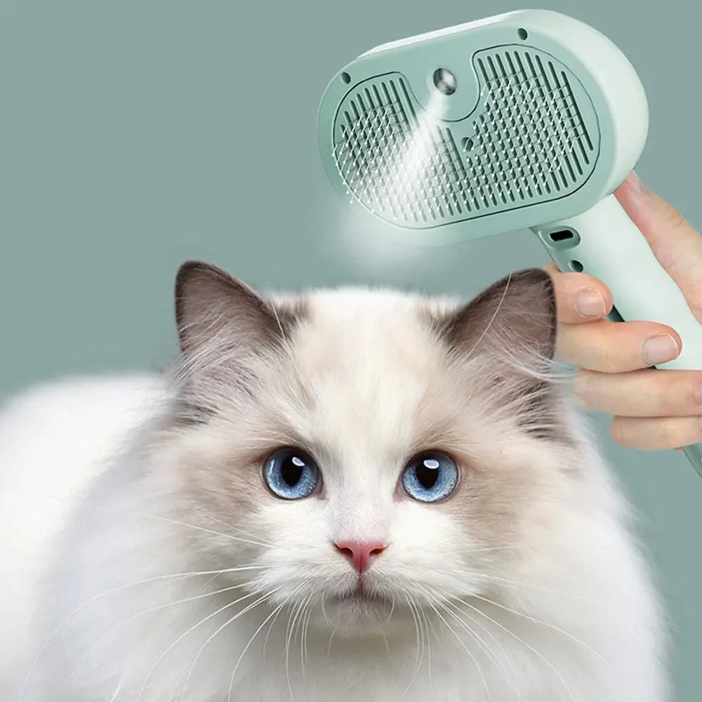 Gato de pelo largo mientras le pasan el cepillo con bruma