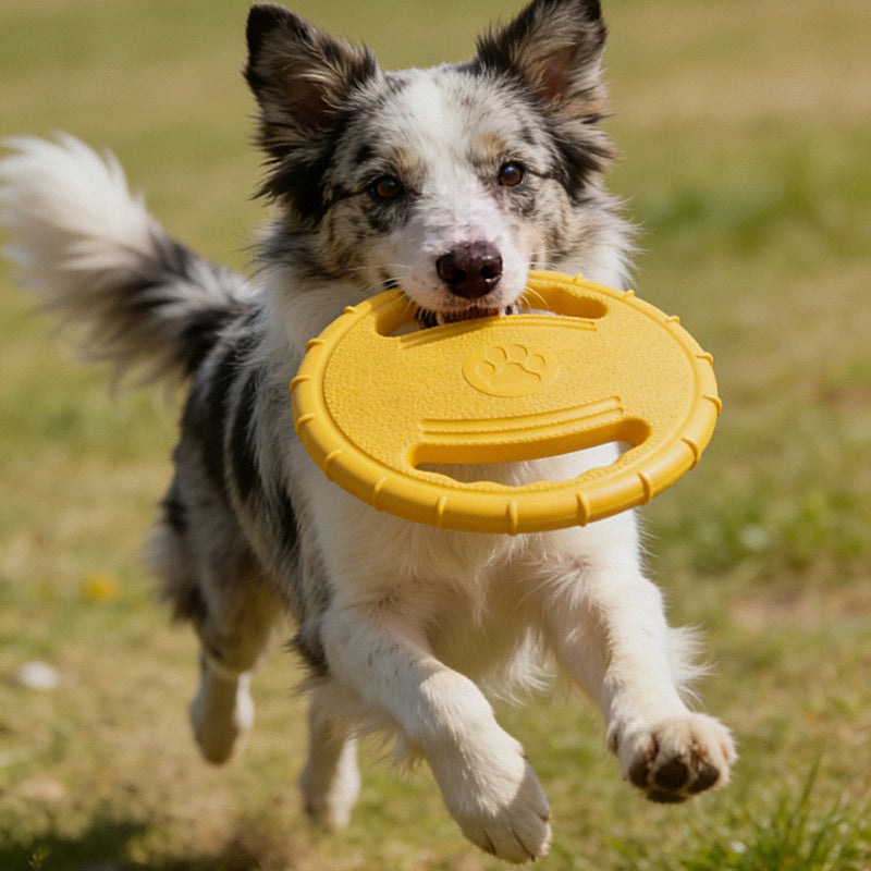Border collie corriendo con el frisbee amarillo en la boca