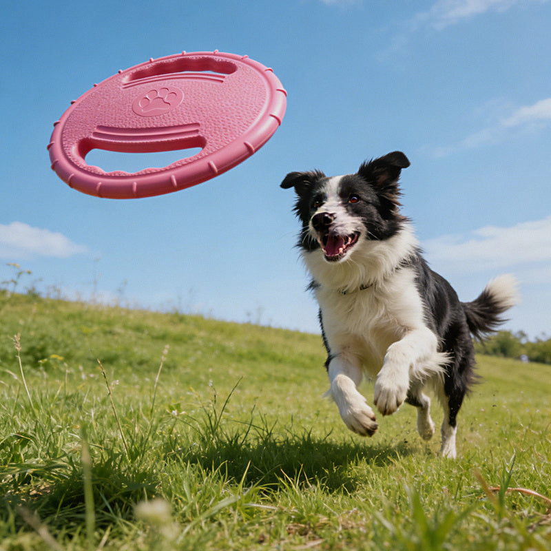 Perro corriendo hacia el frisbee rosa en el aire sobre la hierba