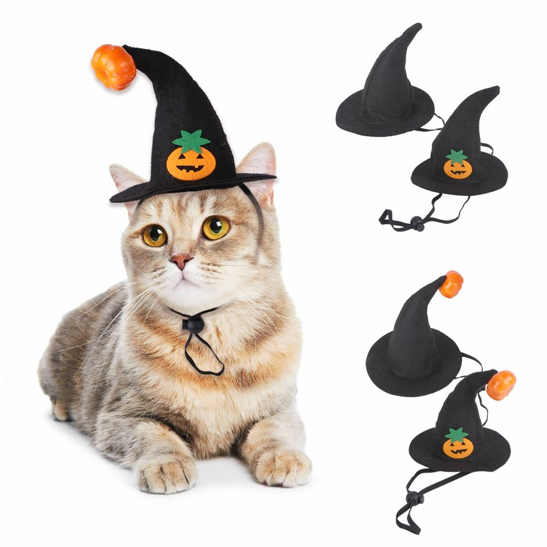Gato con el gorro de bruja de Halloween