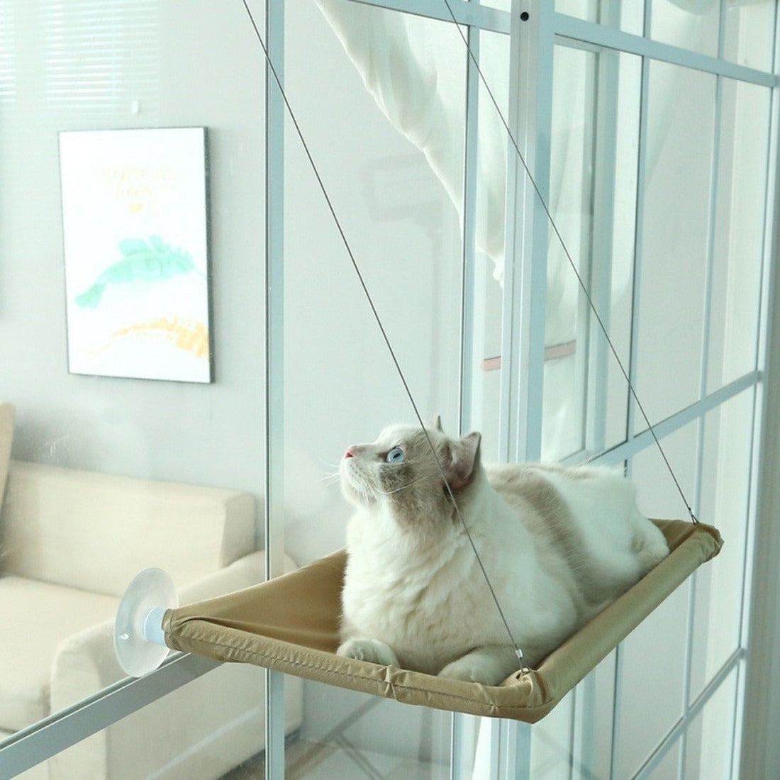 Gato tumbado en la hamaca de ventana