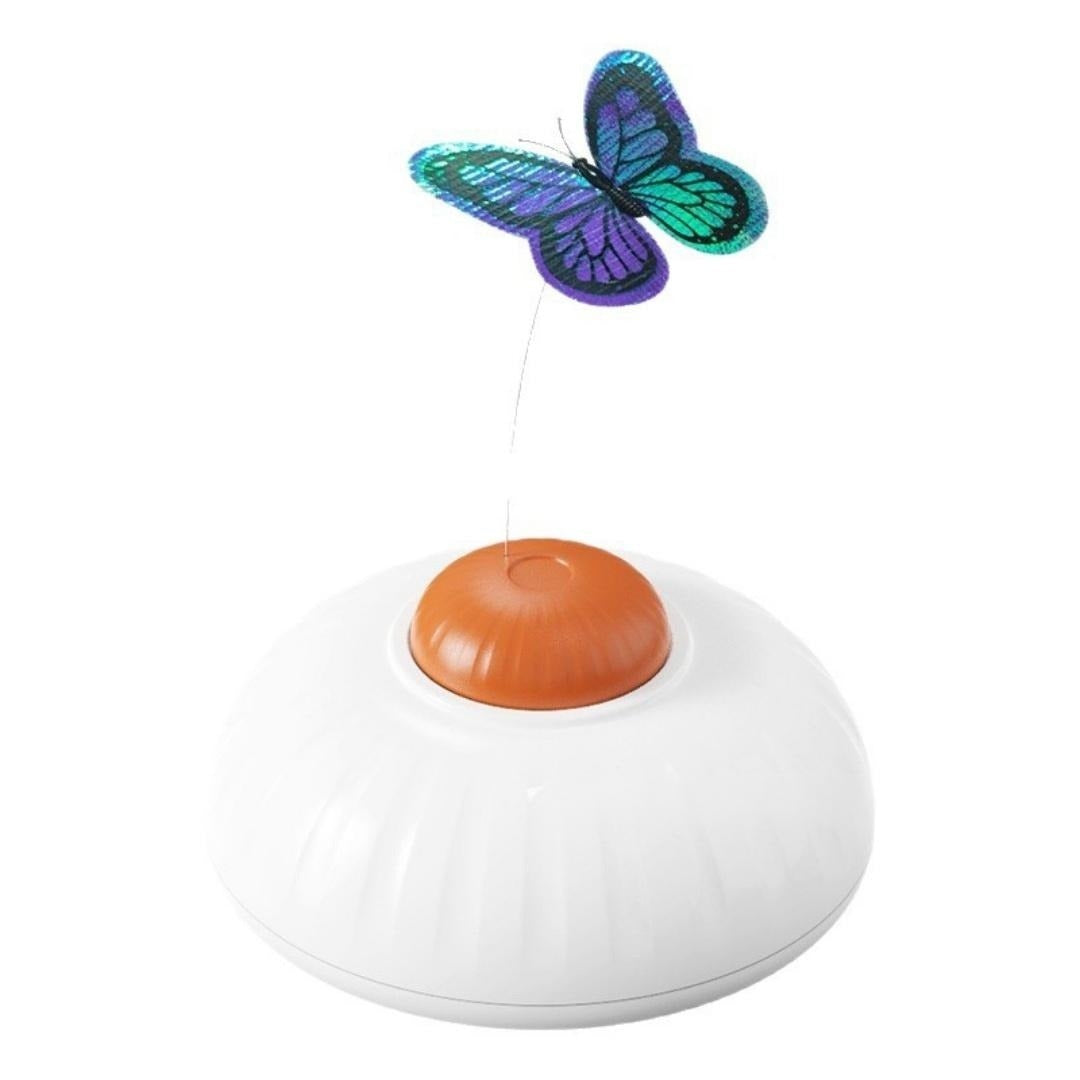 Mariposa eléctrica para gato sobre fondo blanco