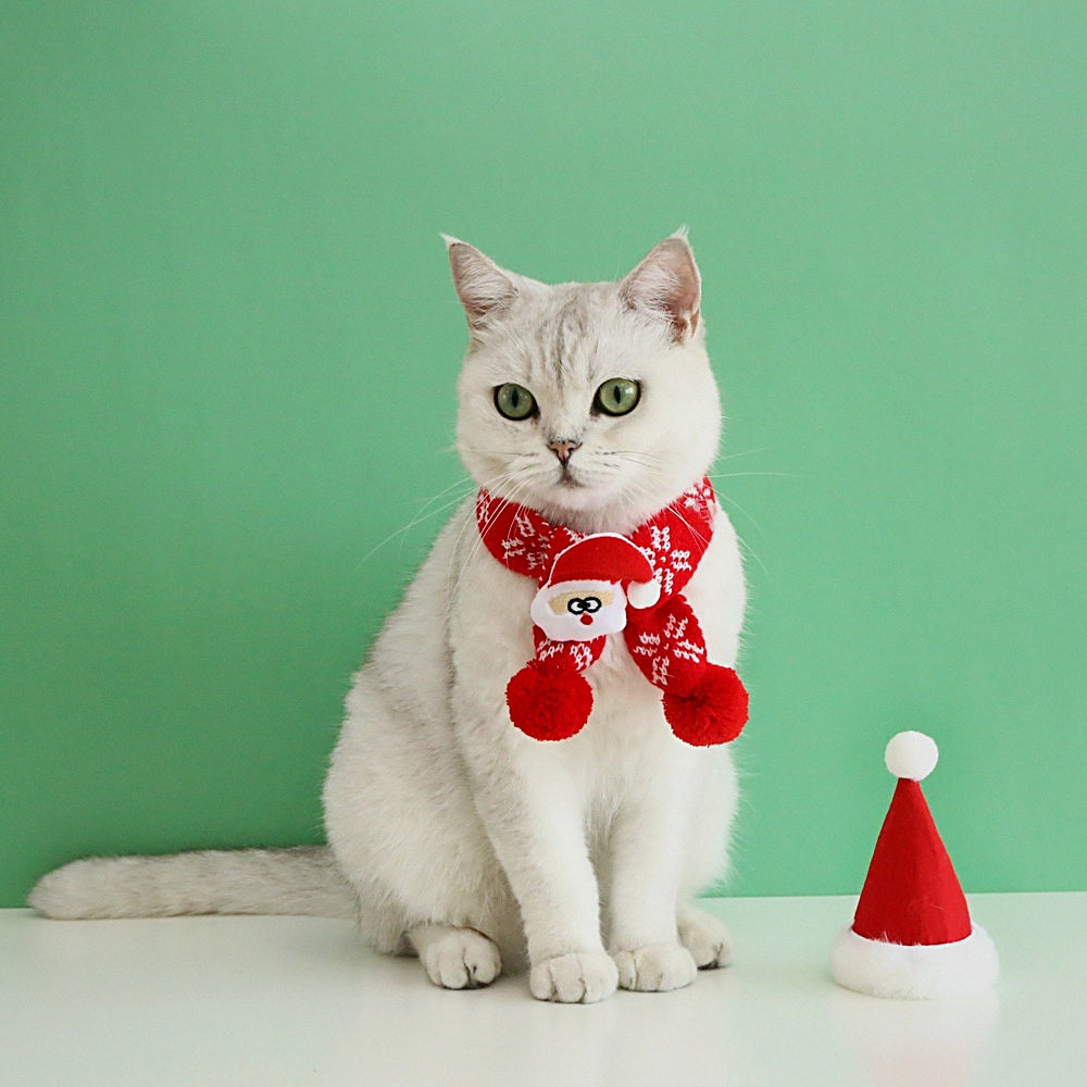 Gato con la bufanda roja de copos de nieve y el gorro de Papá Noel al lado
