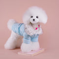 Perro pequeño con el plumífero azul puesto, visto de perfil