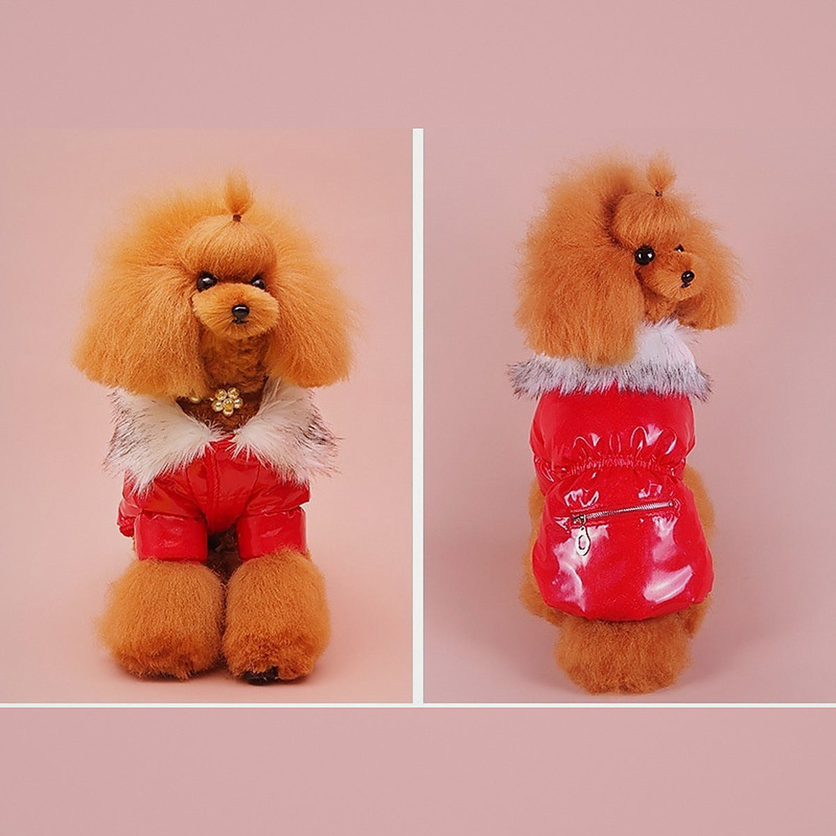 Perro con el plumífero rojo puesto, de frente y de perfil