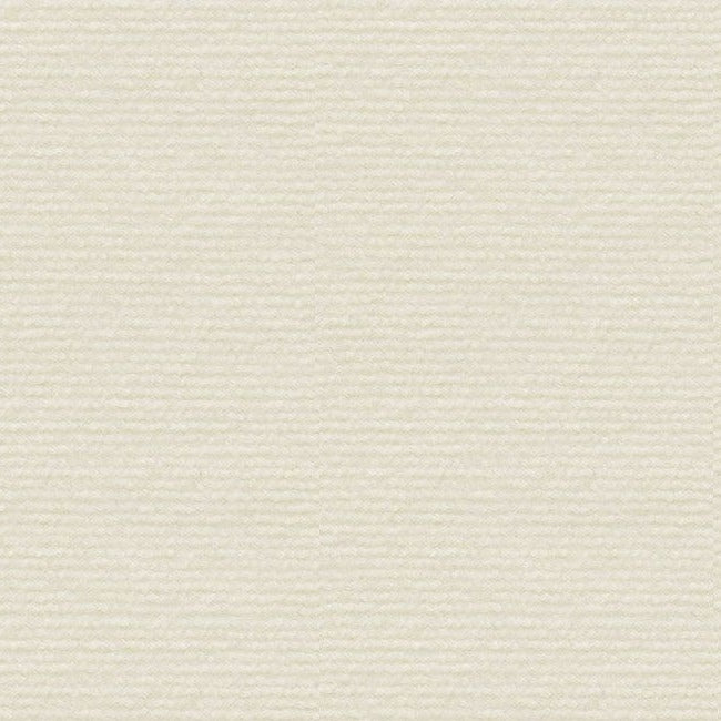 Textura del rascador en crema